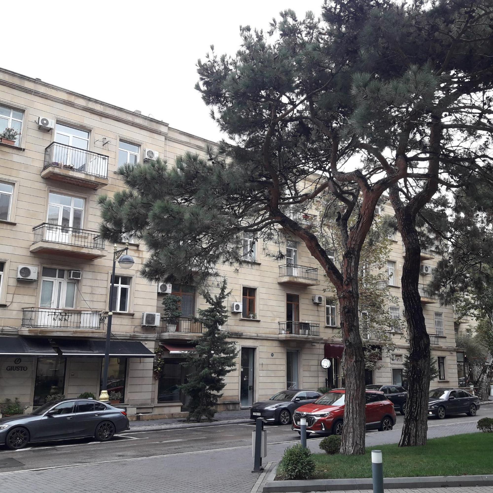 Apartment Niyazi 5 باكو المظهر الخارجي الصورة